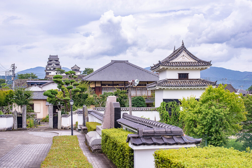 Touring the Castle Town by Rickshaw