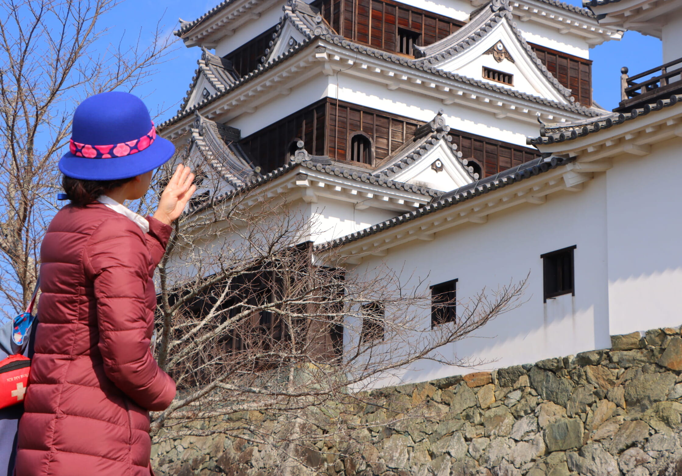 【所要60分】選べるコース!お城・山荘・城下町の魅力深掘りガイド付きまち巡りの写真(愛媛県大洲市)